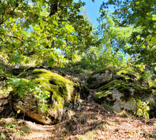 Riesen Findlinge im Mühlviertel