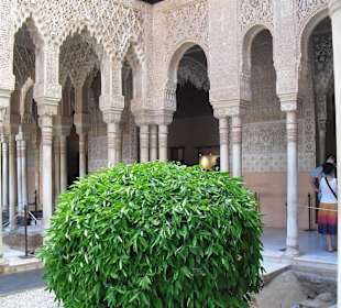Patio de  los Leones