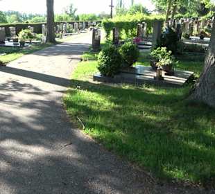 Stadtführung Nördlingen