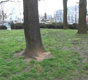 St. Maria in Lyskirchen