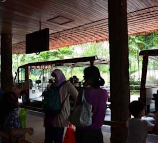 Singapur Zoo