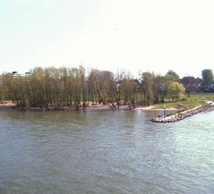 Rhein-Schifffahrt mit der Köln - Düsseldorfer