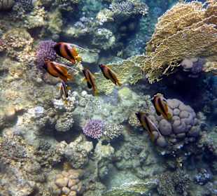 Wir kommen wieder, aber nur noch im Winter