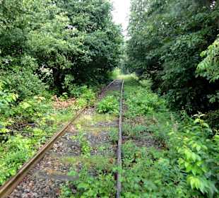 Unterwegs auf der alten Bahntrasse