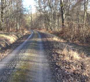Wanderung rund um den Ochsenweiher