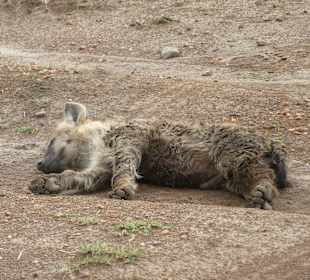 Bitte nicht stören sehr Ihr nicht ich ruhe