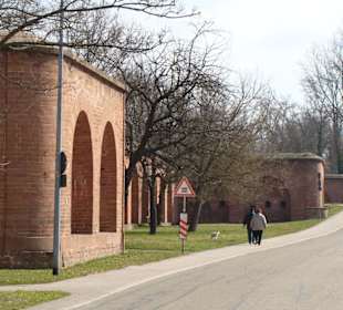 Die Carnot´sche Mauer