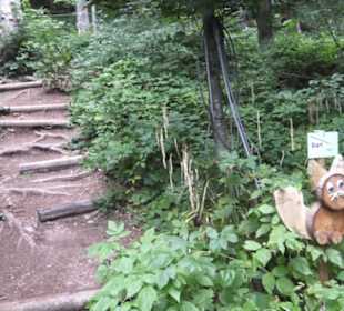 Natur-Hochseilgarten Triberg
