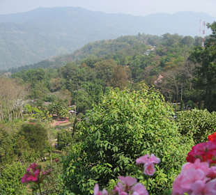 Ausblick auf dem Garten vom Doi Tung