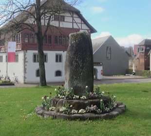 Ergat Dorfplatz Mittelzell