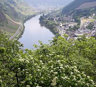 Wandern Cochem