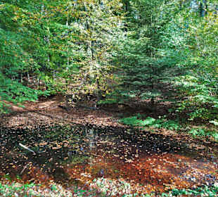 Impressionen aus dem Kurpark Bad Iburg