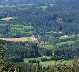 Wald Wipfel Weg mit Erlebnispfad in Sankt Englmar