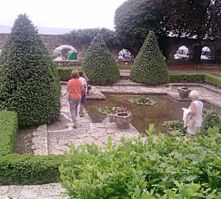 Teichanlage im Botanischen Garten