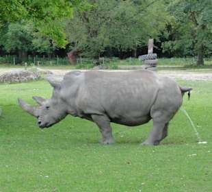 Zoologischer Garten 2016