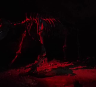 In der Höhle