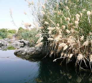 An einem Seitenarm des Nils