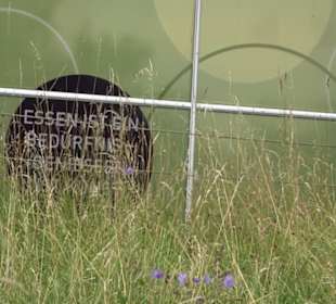 ALB-GOLD Naturgarten