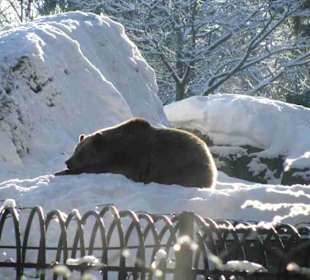 Nationalpark Bayrischer Wald