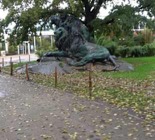 Regenwaldhaus