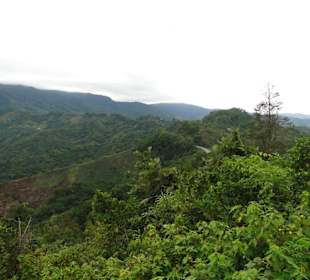 Wildlife Expeditions