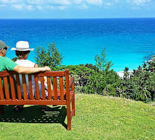 Einfach nur ein Traum