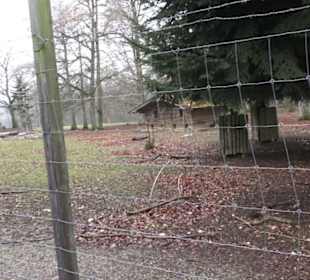 Wildpark Eichert