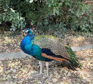 Wandern Göynük bei Kemer