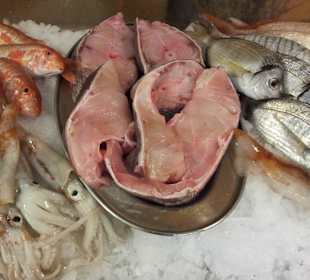 Pesce fresco cernia