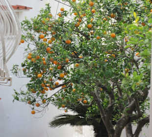 Auf dem Weg zu Arco Naturale