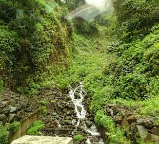 Inselrundfahrt Madeira