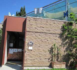 Das Schmetterlingshaus Villa Garzoni