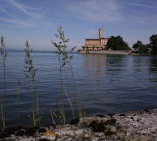 Langenargen, Schloß Montfort