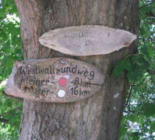 Kleiner Westwallweg bei Schaidt