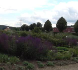 ALB-GOLD Naturgarten