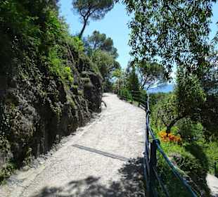 Anstieg von der Stadt auf dem Tappeinerweg
