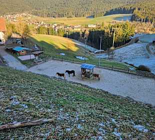 Rundwanderweg Baiersbronn