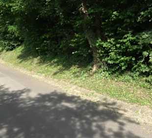 Kreuzweg Wurmlinger Kapelle