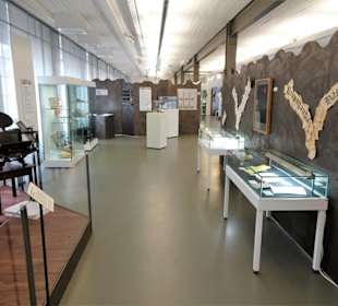 In der Sonderausstellung "Druck"