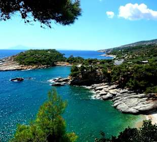 Aliki