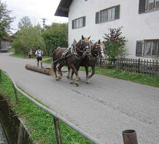 Fuhrwek mit Holzstamm