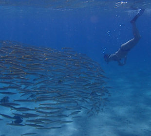 Snorkling na rafie