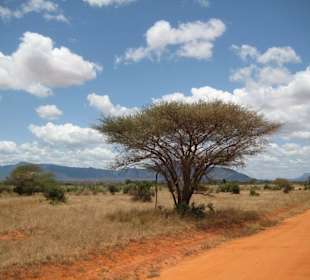 Traumhafte Landschaft