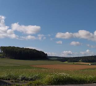 Wandern Warzenried