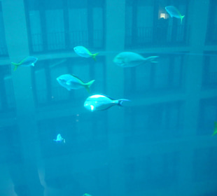 Aquadome - Hintergrund das Hotel Radisson