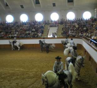 Królewska szkoła jazdy konnej