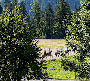 Wandern St. Ulrich am Pillersee