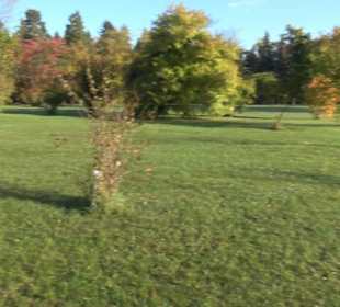 Botanischer Garten