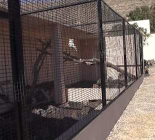 Guinitate Tropical Park