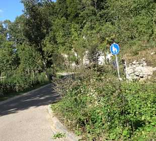 Schaukelweg an der Donau